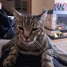 Marcin's profile picture