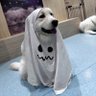 はる's profile picture