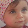 Ali Yagh's profile picture