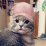 Michele's profile picture