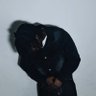 Profilbild von DIFFERENT PATTERN OUT NOW!!!