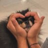 c.'s profile picture