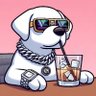 $ICY The Dog profil fotoğrafı