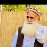 پشتون پال's profile picture