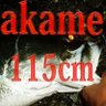 Profilbild von akame115cm from japan