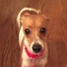 Profilbild von Noah