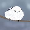 Raidho🐦‍⬛⭐ profil fotoğrafı