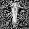 Фото профиля Onyeoma MB Ikewe