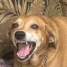 Profilbild von Smiling Feisty