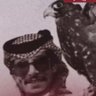 مشعان الحويطات's profile picture