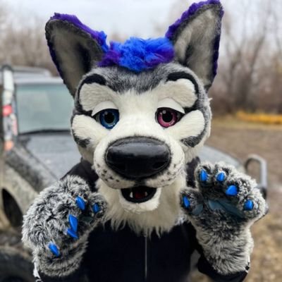Dirty Paws's profile picture