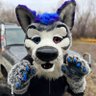 Profilbild von Dirty Paws
