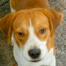 Profilbild von Juancho M