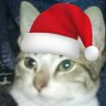 Profilbild von Bruno kast