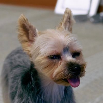HanakiMasatoshi's profile picture