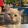 Fatimah ๐'s profile picture
