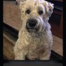 MaGusTay profil fotoğrafı
