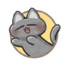 きっちー's profile picture
