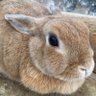 Profilbild von ♡マママ♡🐾