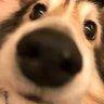 Profilbild von 巴巴博一