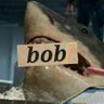 bob【ニチサメ最高🦈】🍕🍆♂'s profile picture