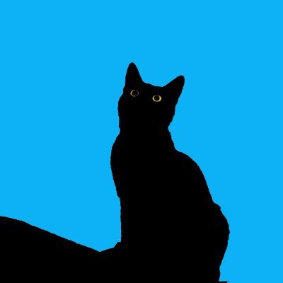 Hな黒猫's profile picture