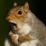 Uncle Timo's profile picture