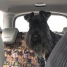 oktravelgirl's profile picture