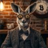 Mr Roo 的头像