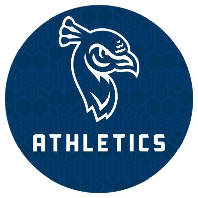 SPUAthletics's profile picture