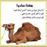 عبد الله's profile picture