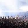 808-909 profil fotoğrafı