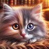猫パンチ profil fotoğrafı