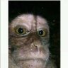 B-joel profil fotoğrafı