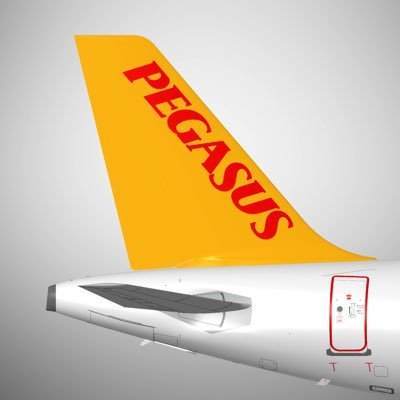 flymepegasus's profile picture