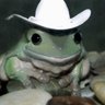valigione's profile picture