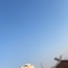 🤍✨M 的头像