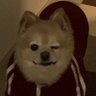 らむらむらむ's profile picture