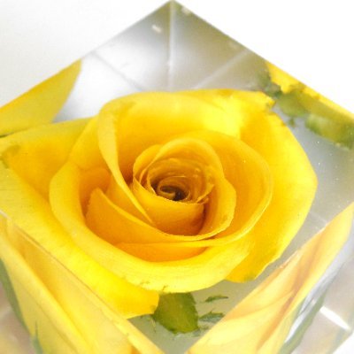 amazing_resin's profile picture