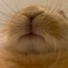 G profil fotoÄrafı