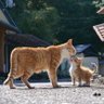 anekdot profil fotoğrafı