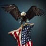 America🇺🇸's profile picture
