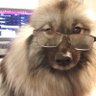 Nathie ๐ช๐บ๐ง๐ช๐ซ๐ท๐บ๐ฆ's profile picture