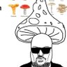 Profilbild von Peet123