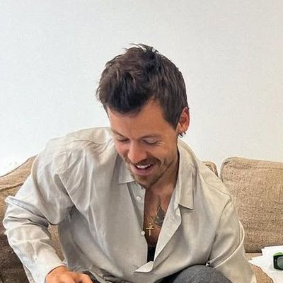 laustylees's profile picture