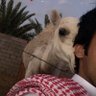 عمّاش's profile picture