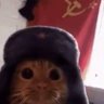 Profilbild von baja