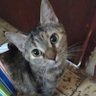 Profilbild von Kitty Lulú