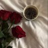 هُـدىٰ 的头像