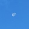 Profilbild von さと
